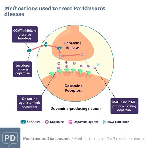 parkinson's disease treatments
